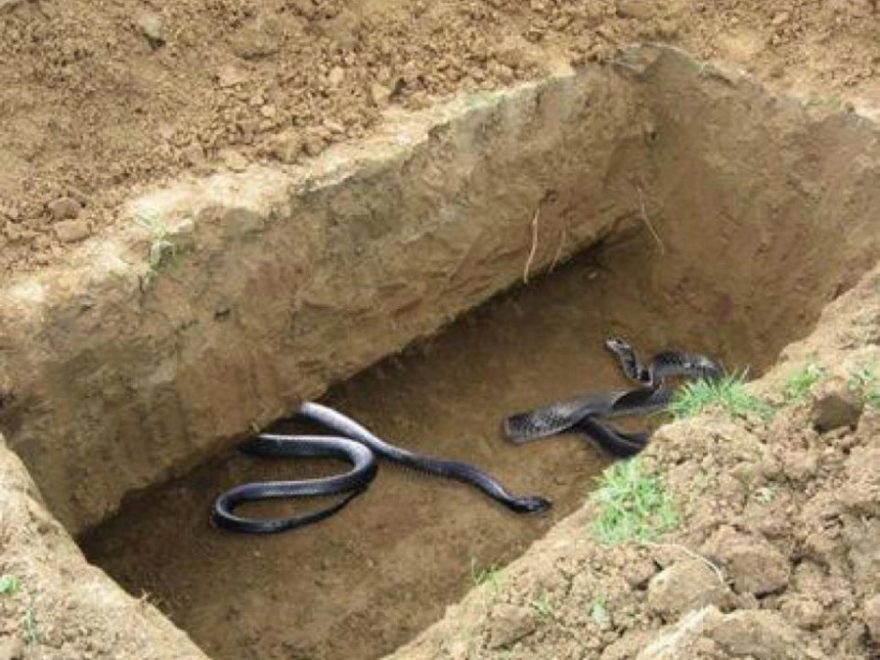 Bersiaplah Ketika Masih Sihat Dan Mampu Kerana Mampu Menghindarkanya. Ayuh Baca Cara Mudah Melepaskan Diri Dari Azab Kubur